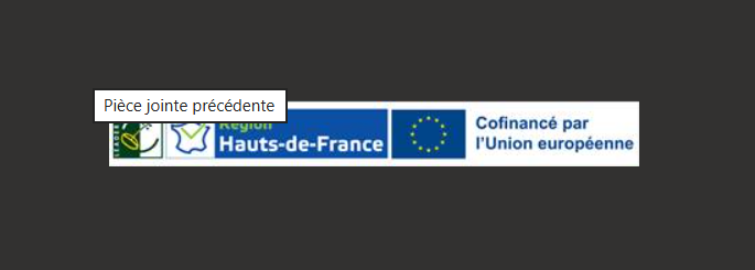 logo region